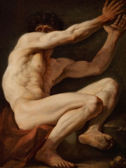 Sitting male nude with the face partly covered by his raised arms