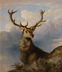 The Monarch of the Glen